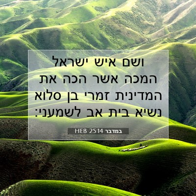 Picture 07 - במדבר 25:14 HEB - ושם איש ישראל המכה אשר הכה - Bible Verse Picture