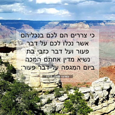 Picture 07 - במדבר 25:18 HEB - כי צררים הם לכם בנכליהם אשר - Bible Verse Picture