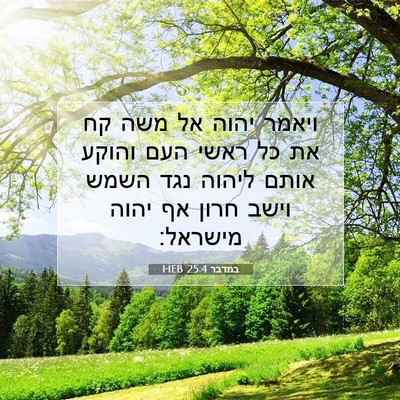 Picture 07 - במדבר 25:4 HEB - ויאמר יהוה אל משה קח את כל - Bible Verse Picture