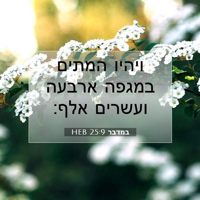 Picture 07 - במדבר 25:9 HEB - ויהיו המתים במגפה ארבעה - Bible Verse Picture