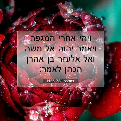 Picture 07 - במדבר 26:1 HEB - ויהי אחרי המגפה ויאמר יהוה - Bible Verse Picture
