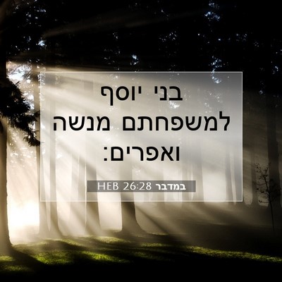 Picture 07 - במדבר 26:28 HEB - בני יוסף למשפחתם מנשה - Bible Verse Picture