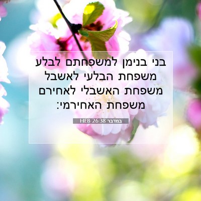 Picture 07 - במדבר 26:38 HEB - בני בנימן למשפחתם לבלע - Bible Verse Picture