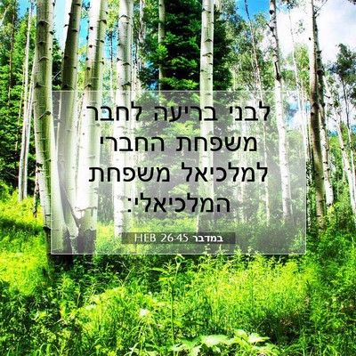 Picture 07 - במדבר 26:45 HEB - לבני בריעה לחבר משפחת - Bible Verse Picture
