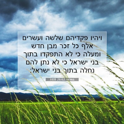 Picture 07 - במדבר 26:62 HEB - ויהיו פקדיהם שלשה ועשרים - Bible Verse Picture