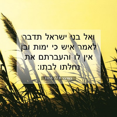Picture 07 - במדבר 27:8 HEB - ואל בני ישראל תדבר לאמר איש - Bible Verse Picture