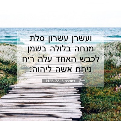 Picture 07 - במדבר 28:13 HEB - ועשרן עשרון סלת מנחה בלולה - Bible Verse Picture