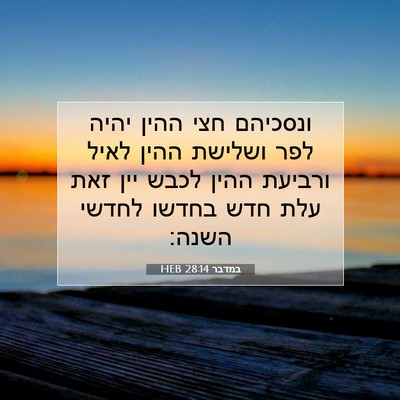 Picture 07 - במדבר 28:14 HEB - ונסכיהם חצי ההין יהיה לפר - Bible Verse Picture