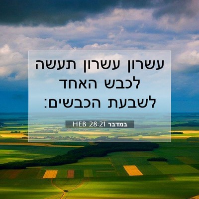 Picture 07 - במדבר 28:21 HEB - עשרון עשרון תעשה לכבש האחד - Bible Verse Picture