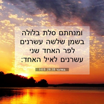 Picture 07 - במדבר 28:28 HEB - ומנחתם סלת בלולה בשמן שלשה - Bible Verse Picture