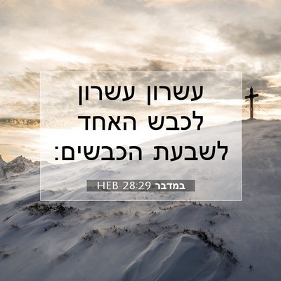 Picture 07 - במדבר 28:29 HEB - עשרון עשרון לכבש האחד - Bible Verse Picture