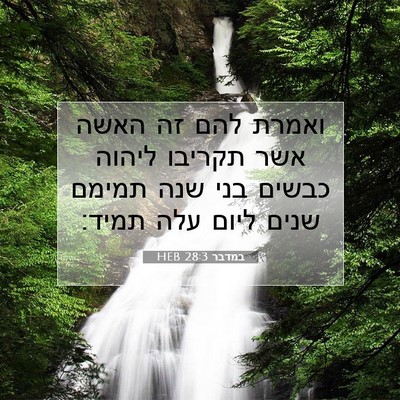 Picture 07 - במדבר 28:3 HEB - ואמרת להם זה האשה אשר - Bible Verse Picture