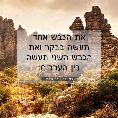 Picture 07 - במדבר 28:4 HEB - את הכבש אחד תעשה בבקר ואת - Bible Verse Picture