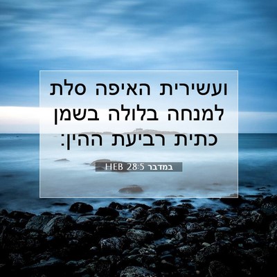 Picture 07 - במדבר 28:5 HEB - ועשירית האיפה סלת למנחה - Bible Verse Picture