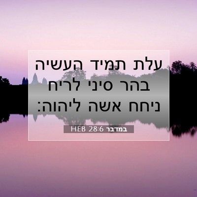 Picture 07 - במדבר 28:6 HEB - עלת תמיד העשיה בהר סיני - Bible Verse Picture