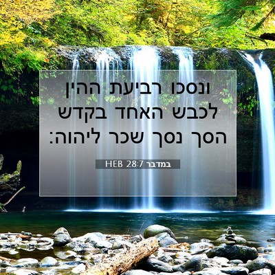 Picture 07 - במדבר 28:7 HEB - ונסכו רביעת ההין לכבש האחד - Bible Verse Picture