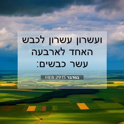 Picture 07 - במדבר 29:15 HEB - ועשרון עשרון לכבש האחד - Bible Verse Picture