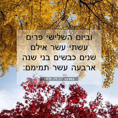 Picture 07 - במדבר 29:20 HEB - וביום השלישי פרים עשתי עשר - Bible Verse Picture