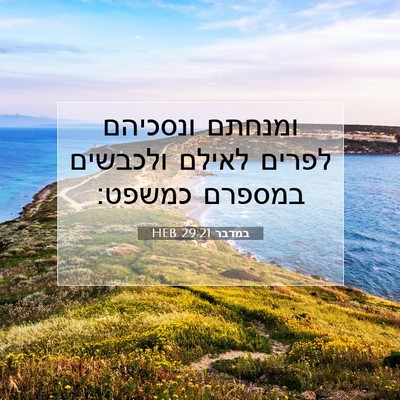 Picture 07 - במדבר 29:21 HEB - ומנחתם ונסכיהם לפרים לאילם - Bible Verse Picture