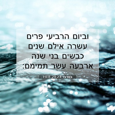 Picture 07 - במדבר 29:23 HEB - וביום הרביעי פרים עשרה - Bible Verse Picture