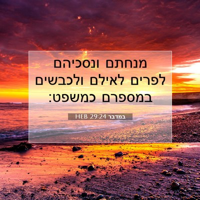 Picture 07 - במדבר 29:24 HEB - מנחתם ונסכיהם לפרים לאילם - Bible Verse Picture