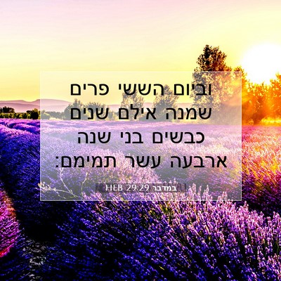 Picture 07 - במדבר 29:29 HEB - וביום הששי פרים שמנה אילם - Bible Verse Picture