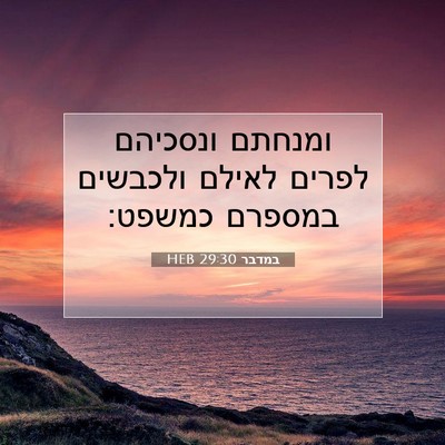 Picture 07 - במדבר 29:30 HEB - ומנחתם ונסכיהם לפרים לאילם - Bible Verse Picture