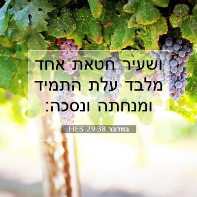 Picture 07 - במדבר 29:38 HEB - ושעיר חטאת אחד מלבד עלת - Bible Verse Picture