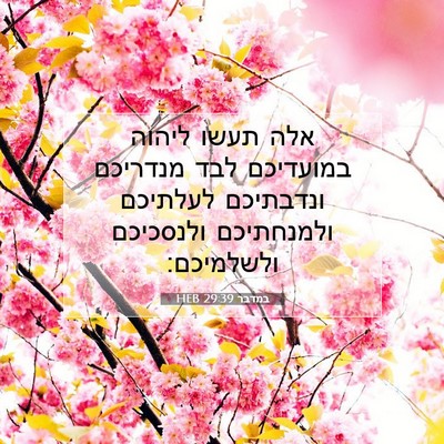 Picture 07 - במדבר 29:39 HEB - אלה תעשו ליהוה במועדיכם - Bible Verse Picture