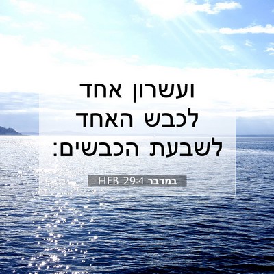 Picture 07 - במדבר 29:4 HEB - ועשרון אחד לכבש האחד לשבעת - Bible Verse Picture