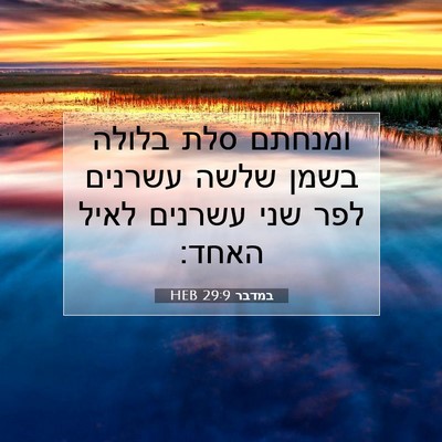 Picture 07 - במדבר 29:9 HEB - ומנחתם סלת בלולה בשמן שלשה - Bible Verse Picture