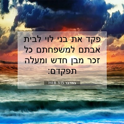 Picture 07 - במדבר 3:15 HEB - פקד את בני לוי לבית אבתם - Bible Verse Picture
