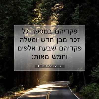 Picture 07 - במדבר 3:22 HEB - פקדיהם במספר כל זכר מבן חדש - Bible Verse Picture