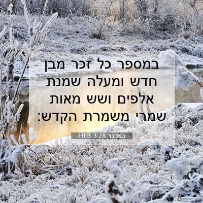 Picture 07 - במדבר 3:28 HEB - במספר כל זכר מבן חדש ומעלה - Bible Verse Picture