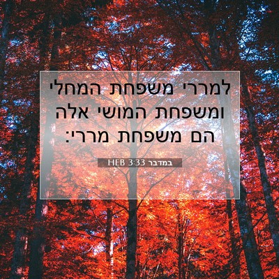 Picture 07 - במדבר 3:33 HEB - למררי משפחת המחלי ומשפחת - Bible Verse Picture