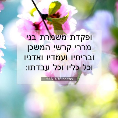 Picture 07 - במדבר 3:36 HEB - ופקדת משמרת בני מררי קרשי - Bible Verse Picture