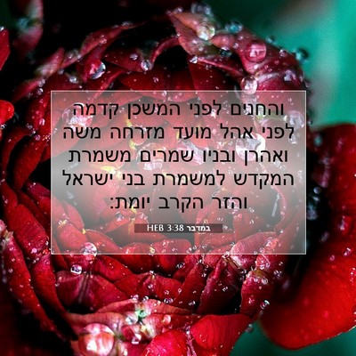 Picture 07 - במדבר 3:38 HEB - והחנים לפני המשכן קדמה - Bible Verse Picture