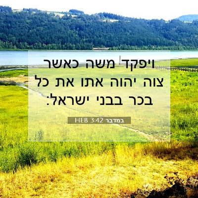 Picture 07 - במדבר 3:42 HEB - ויפקד משה כאשר צוה יהוה אתו - Bible Verse Picture