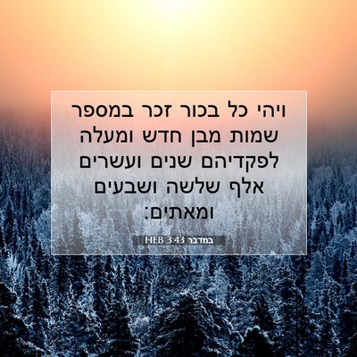 Picture 07 - במדבר 3:43 HEB - ויהי כל בכור זכר במספר שמות - Bible Verse Picture