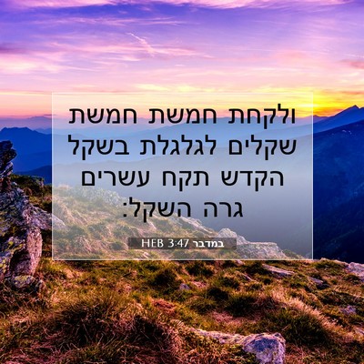 Picture 07 - במדבר 3:47 HEB - ולקחת חמשת חמשת שקלים - Bible Verse Picture