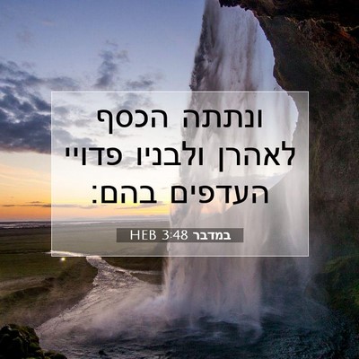 Picture 07 - במדבר 3:48 HEB - ונתתה הכסף לאהרן ולבניו - Bible Verse Picture