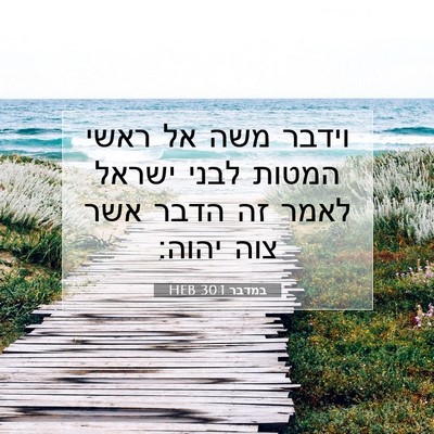 Picture 07 - במדבר 30:1 HEB - וידבר משה אל ראשי המטות - Bible Verse Picture