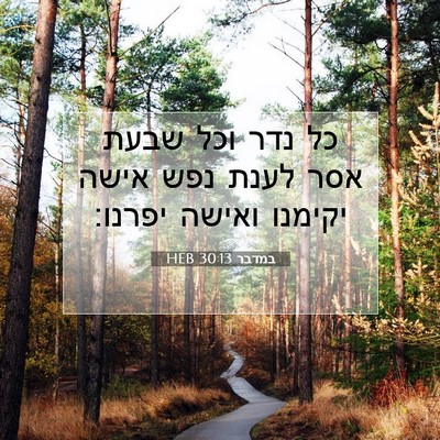 Picture 07 - במדבר 30:13 HEB - כל נדר וכל שבעת אסר לענת - Bible Verse Picture