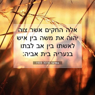Picture 07 - במדבר 30:16 HEB - אלה החקים אשר צוה יהוה את - Bible Verse Picture
