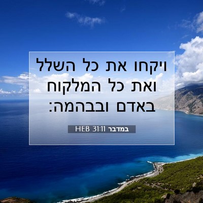 Picture 07 - במדבר 31:11 HEB - ויקחו את כל השלל ואת כל - Bible Verse Picture