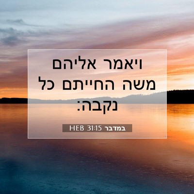 Picture 07 - במדבר 31:15 HEB - ויאמר אליהם משה החייתם כל - Bible Verse Picture