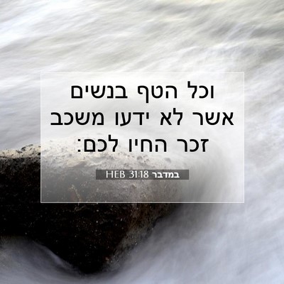 Picture 07 - במדבר 31:18 HEB - וכל הטף בנשים אשר לא ידעו - Bible Verse Picture
