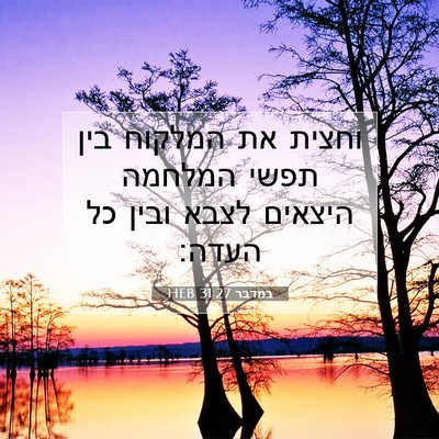 Picture 07 - במדבר 31:27 HEB - וחצית את המלקוח בין תפשי - Bible Verse Picture