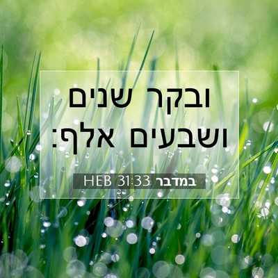 Picture 07 - במדבר 31:33 HEB - ובקר שנים ושבעים - Bible Verse Picture