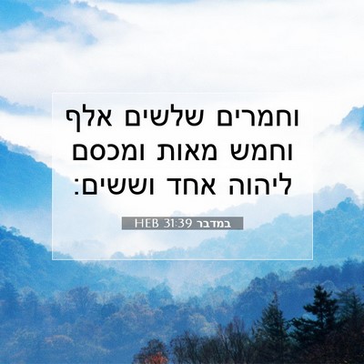 Picture 07 - במדבר 31:39 HEB - וחמרים שלשים אלף וחמש מאות - Bible Verse Picture